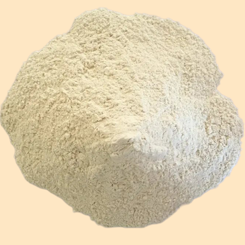 Dehydrated White Onion - Powder